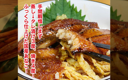 【宮城】あなご蒲焼とさば干物のセット　【04203-0698】