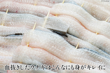 うなぎ 血抜き締め 国産うなぎ 炭火で1本1本丁寧に手焼きした「うなぎの 白焼き (大串)」2尾セット [ヤママツ村田商店 静岡県 吉田町 22424161]
