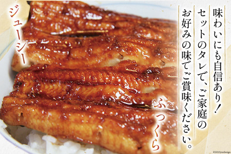 血抜き締め国産うなぎを炭火で1本1本丁寧に手焼きした「うなぎ 蒲焼 大串 4本セット」[ヤママツ村田商店 静岡県 吉田町 22424040]