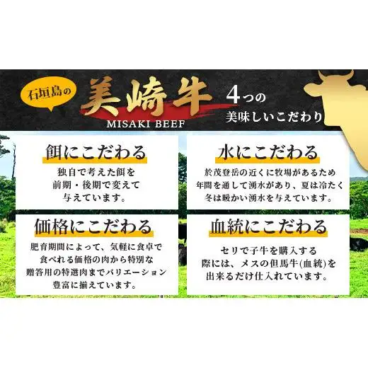 美崎牛ハンバーグ 100g×10個　 O-6