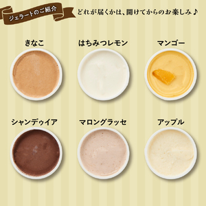 【合計 22個】ジェラートおまかせ 22種セット EB8-0289