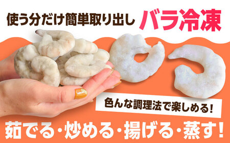 【全12回定期便】背ワタ除去済み！ぷりぷりむきえび 計12kg（500g×2袋×12) 海老 エビ[FDE004]