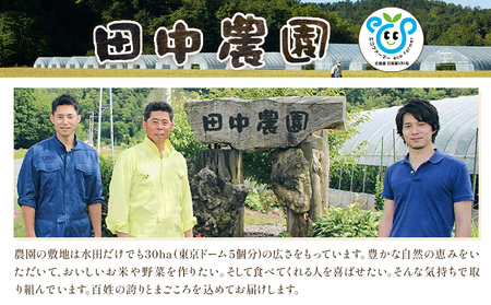 令和7年産 ゆめぴりか 10kg 5kg×2袋 田中農園 北海道