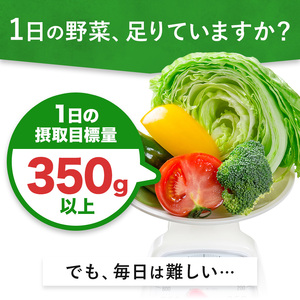 【3ヶ月定期便】1日分の野菜 200ml 48本 伊藤園 野菜ジュース 北海道