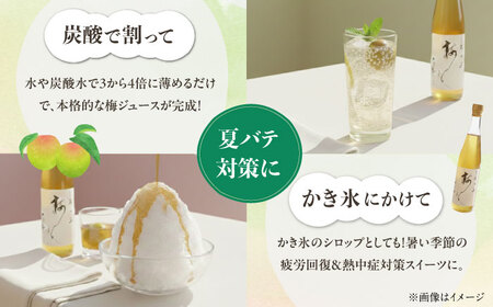 【お中元対象】梅シロップ 七折小梅の梅シロップ 500ml×2本 梅シロップ BJAG001