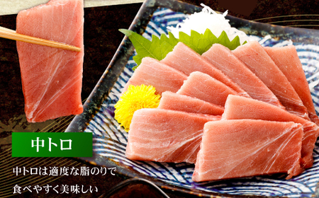 【定期便/計3回】天然本マグロ 400g（天身・中トロ） 【まぐろ】tk171