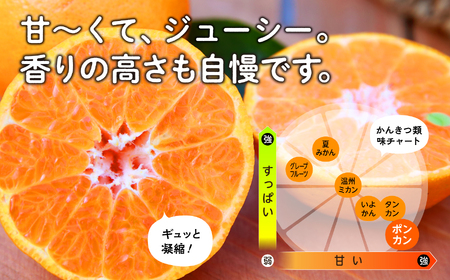 《 先行予約 》種子島産 ポンカン (ご家庭用) 約5kg (24玉～36玉)　【2026年12月中旬頃～1月中旬頃順次発送】【訳あり】【南種子町果樹部会】