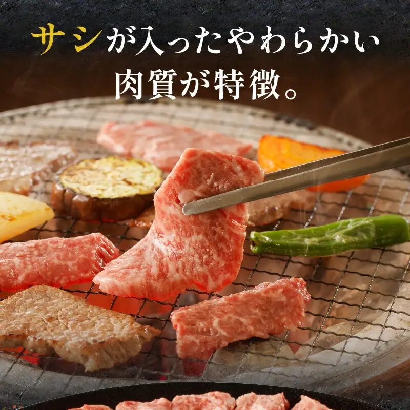 やみつきシリーズ 宮崎牛カルビ定期便 肉 牛 牛肉 カルビ