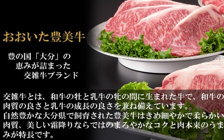 おおいた豊美牛ローススライス 600g (300g×2P)_2259R