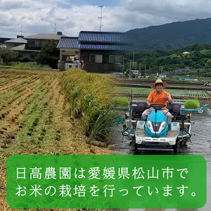 令和7年産！愛媛県産ヒノヒカリ 10kg ｜産地直送 国産 白米 ブランド米数量限定 ご当地 愛媛県 松山市【HDK0024】
