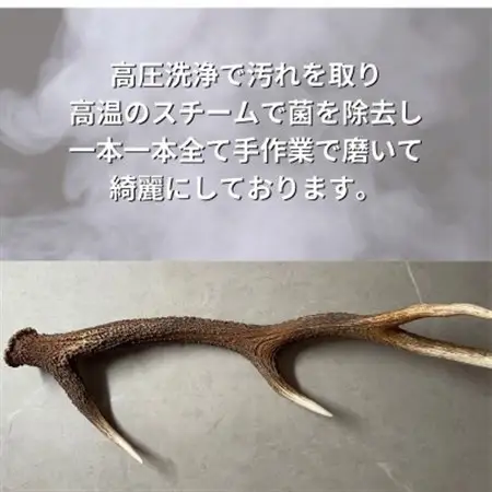 鹿の角 半割り 20cm 2本 犬のおもちゃ デンタルケア  中型犬用_ ペット用品  _【1420488】