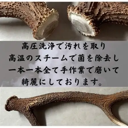 鹿の角 リング 10個入り 北海道産 アクセサリー クラフト材_雑貨   _【1421944】
