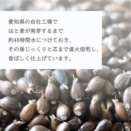 はと麦健康茶ティーバッグ (7.5g×24パック)×【15入】【1434779】