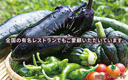 ☆キャンプにもおすすめ☆バーベキュー・グリル用朝採れ野菜特選セット【福岡県糸島産】(7-8人分) 糸島市 / オーガニックナガミツファーム 野菜 詰め合わせ 	[AGE039]