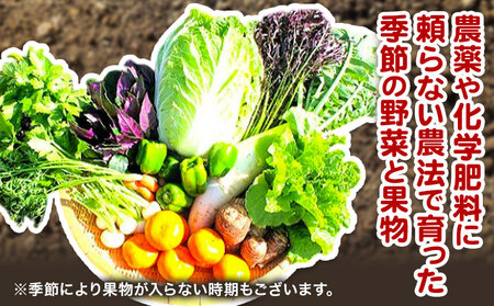 野菜 果物 詰め合わせセット 自然栽培 10品