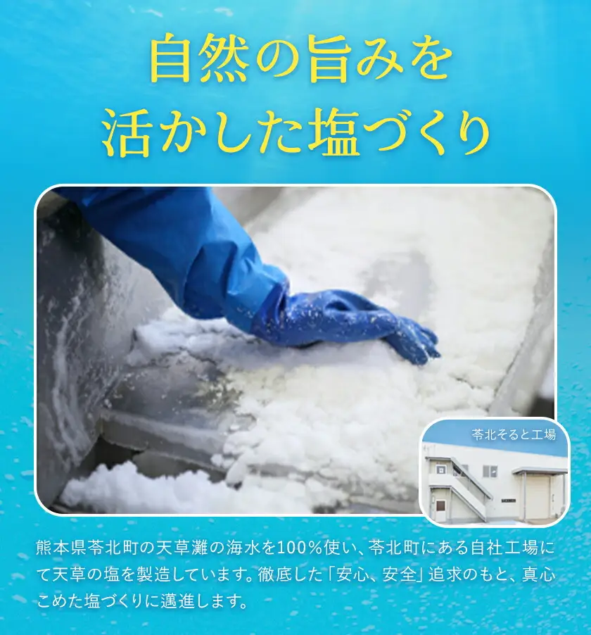 天草の塩・極上職人のうまかだしセット 天草の塩(しっとりタイプ) 200g 極上職人のうまかだし 8g×30包 九電産業株式会社 《30日以内に出荷予定(土日祝除く)》熊本県 苓北町 塩 だし salt だしパック 和食 調味料 天草の塩 天草 苓北 熊本 送料無料