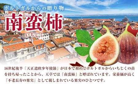 ドライいちじく30g × 2袋 いちじく |もり農園