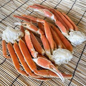 訳あり ズワイガニ脚(ボイル)1.0kg前後 かに 蟹 カニ 海鮮 魚介 釧路 北海道 F4F-3770