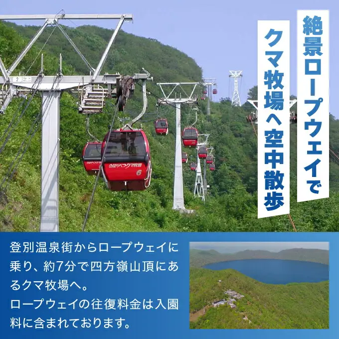 のぼりべつクマ牧場入場券 小人（小学生以下）1名様