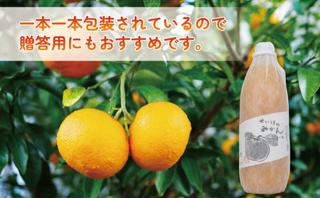 みかんジュース 1,000ml×3本 清家 ジュース H018-170001