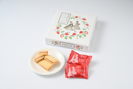 御用邸の花（10個入り 1箱) お菓子 菓子 おかしの城 お土産 那須町 銘菓 個包装 人気 有名〔A-50〕