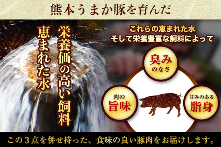 うまかポーク 豚肉しゃぶしゃぶ 約1.5kg 【トレー包装】《30日以内に出荷予定(土日祝除く)》しゃぶしゃぶ ロース