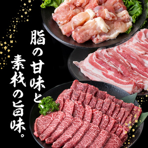 南九州産牛・豚・鶏焼肉セット(計1.1kg) a6-045