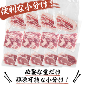 南九州産豚肉3種セット(切り落し・バラスライス・とんかつ)(計2.9kg) a5-270