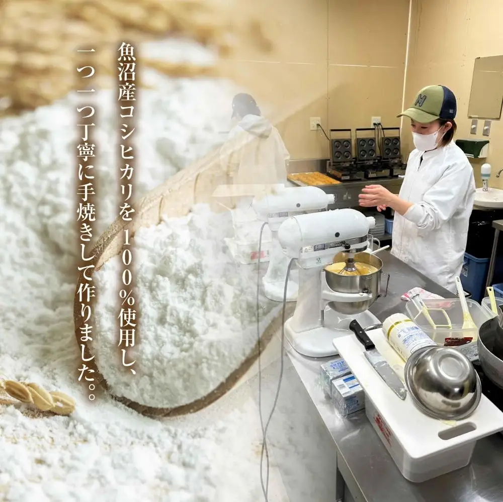 グルテンフリー 米粉 玄米粉 ドーナツ 5種 10個セット ショコラ メープルアーモンド チーズ 桑茶あずき 黒ごま ドーナッツ スイーツ おやつ 冷凍 ギフト コパフーズ 送料無料 新潟県 南魚沼市