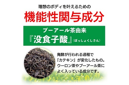 048-87　国産プーアール茶　SARYU-SOSO（2g×30ティーバッグ）×2袋セット　〈機能性表示食品〉