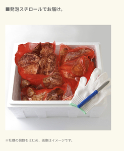 fn-42-002 ＜6月～7月頃にかけて順次発送予定＞【海洋深層水仕込み】釜石湾・尾崎牡蠣　20個セット 日本かきセンター