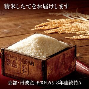 米 20kg（5kg×4袋）京都丹波産 キヌヒカリ 白米