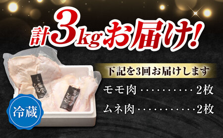 【3回定期便 】朝びき！信州黄金シャモモモ・ムネ肉セット　地鶏