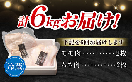 【6回定期便 】朝びき！信州黄金シャモモモ・ムネ肉セット　地鶏