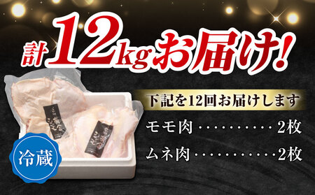 【１２回定期便 】朝びき！信州黄金シャモモモ・ムネ肉セット　地鶏