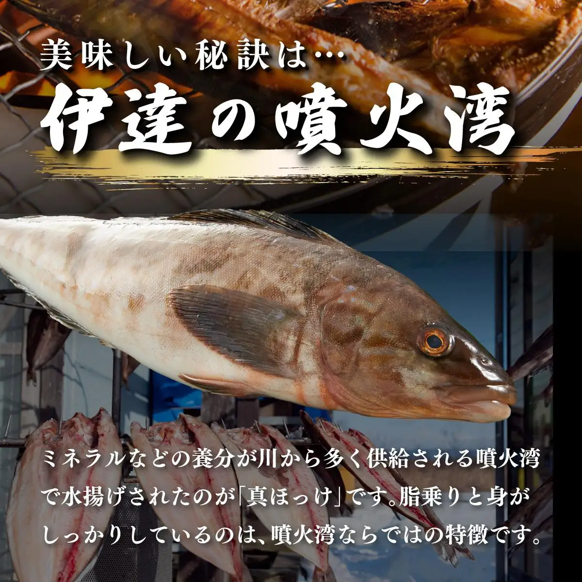 [5525-0858]噴火湾産 開き真ほっけ 3枚セット 北海道 伊達市