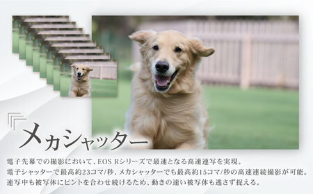 【スピード発送】Canon EOS R10 レンズキット【長崎キヤノン】[MA16] RF-S18-45 IS STM キャノン ミラーレスカメラ