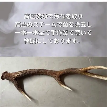 鹿の角 お試しサイズ 10cm 2本 犬のおもちゃ デンタルケア 小型犬用_ ペット用品  _【1415910】