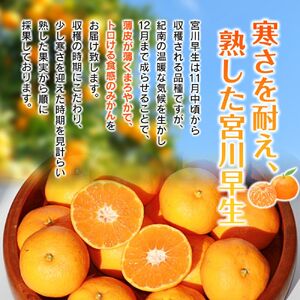 【先行予約】完熟早生みかん　宮川早生１０kg※2026年12月から順次発送予定※ 【期間限定・12/20まで受付】/ 和歌山県 ミカン フルーツ 果物 柑橘 田辺市 【nak007-1】