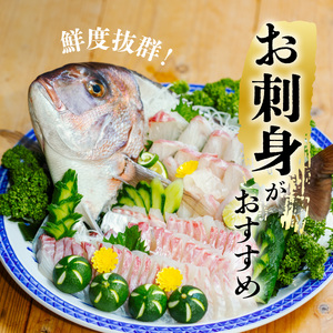 タイ 神経締め 2尾 計約3～4kg 鯛 たい 真鯛 マダイ 鮮魚 産地直送 冷蔵 養殖 国産