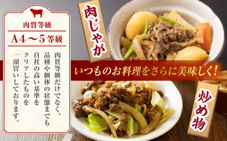 【6回定期便】熊本県産 黒毛和牛 切り落とし 計約1kg (約250g×4P)【有限会社九州食肉産業】九州 熊本県産 切り落とし 小分け 牛肉 和牛 国産 A4 A5ランク 小分け [ZDQ033]