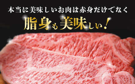 熊本県産 黒毛和牛 サーロイン ステーキ 2枚 約400g【有限会社九州食肉産業】 牛肉 A4 A5 国産 黒毛和牛 九州産 熊本県産 くまもとサーロインステーキ 和牛 [ZDQ035]
