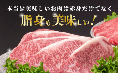【12回定期便】熊本県産 黒毛和牛 ロース 食べ比べ セット（ステーキ ロース スライス） 約800g 【有限会社 九州食肉産業】 牛肉 A4 A5 国産 黒毛和牛 九州産 熊本県産 ロース 和牛   [ZDQ048]