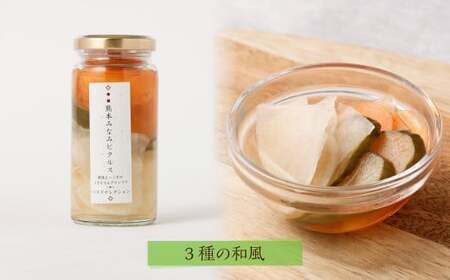【熊本みなみピクルス】野菜好きな方におすすめ4本セット