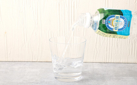 【12か月連続定期便】日本名水百選ミネラルウォーター「南阿蘇・白川水源」500ml×24本入1ケース×12ヵ月