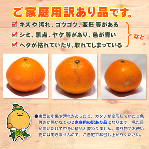 みかん 訳あり 愛果28号 5kg 中井屋 みかん B015-173001