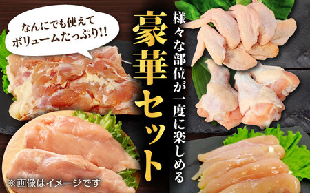 【12回定期便】熊本あか鶏  5種食べ比べセット（モモ ささみ ムネ 手羽先 手羽元）各2kg【やまうちフード株式会社 熊本営業所】 熊本県 特産品  九州産  [ZAB014]
