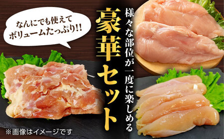 【6回定期便】熊本あか鶏  3種食べ比べセット（もも むね ささみ）各1kg【やまうちフード株式会社 熊本営業所】 特産品 九州産 チキン 鶏肉  [ZAB016]