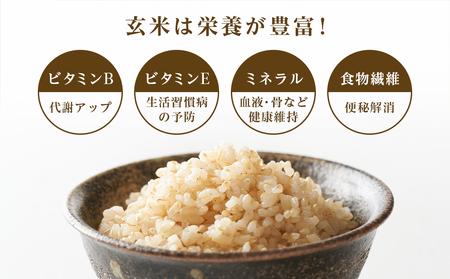 【令和7年産】ゆめぴりか 玄米 5kg 《杉本農園》