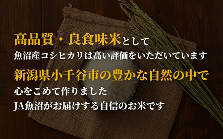 【令和7年 コシヒカリ 定期便】魚沼産コシヒカリ「おぢや米」 60kg（10キロ×6回 隔月）| 新潟県 小千谷市